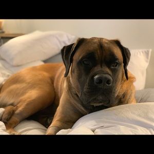 Meet your Posher, Tabitha